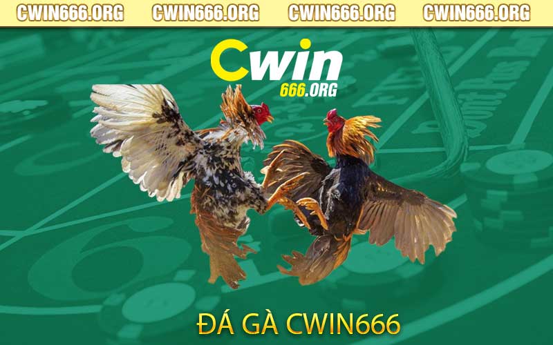 đá gà cwin666